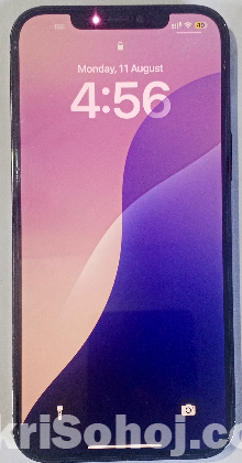 iPhone 12 Pro Max 256GB Pacific blue